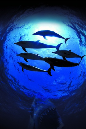 ̽ OceanWorld 3D