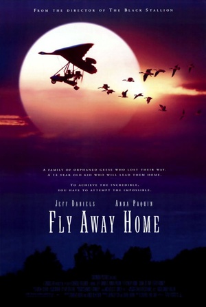 ߷ Fly Away Home