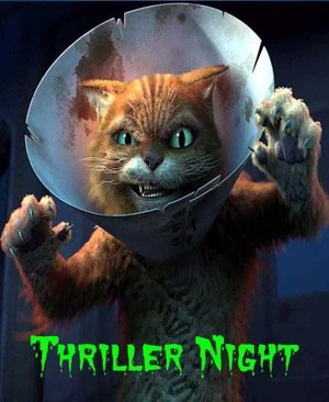 ʷ˾ҹ Thriller Night