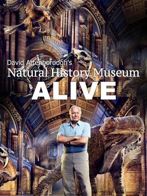 ޷үүĲҹ David Attenborough\'s Natural History Museum Alive