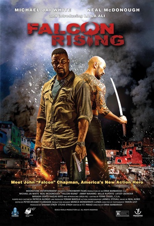 ӥͻ Falcon Rising