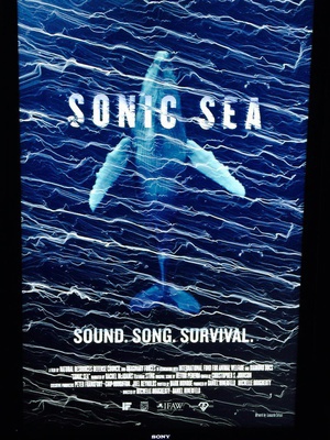 Sonic Sea