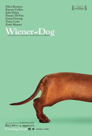  Wiener-Dog