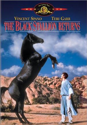 2 The Black Stallion Returns