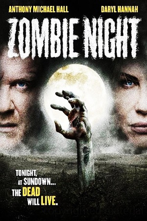 ʬجҹ Zombie Night