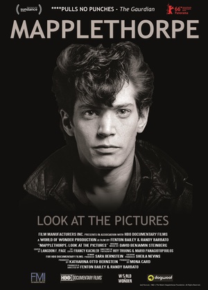 ޲÷ Mapplethorpe: Look at the Pictures