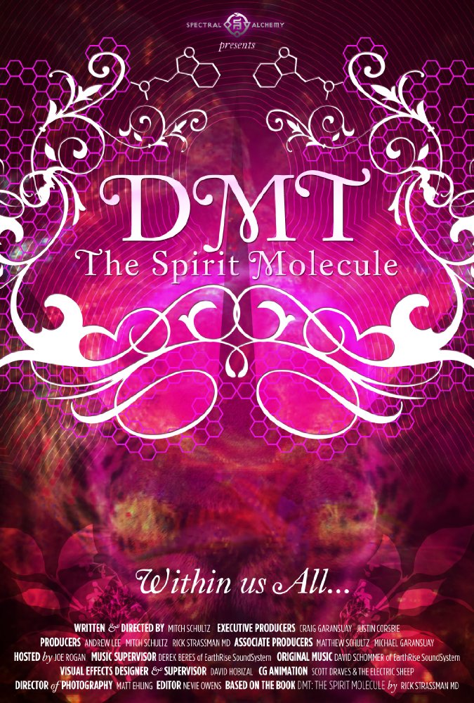 ׻ɫ DMT: The Spirit Molecule