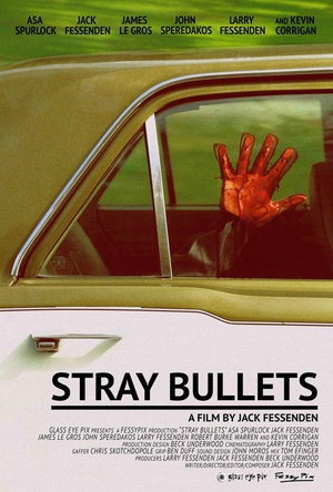 ӵ Stray Bullets