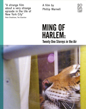 Ming of Harlem: Twenty One Storeys in the Air