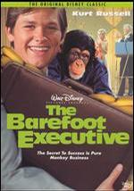 㶭³ The Barefoot Executive