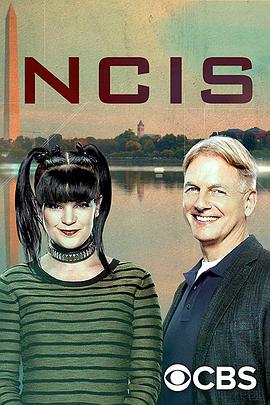 ﰸ鴦 ʮ弾 NCIS: Naval Criminal Investigative Service Season 15