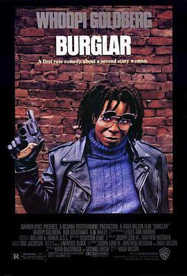 ҹ Burglar