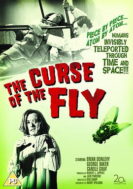 Ӭ˵ Curse of the Fly