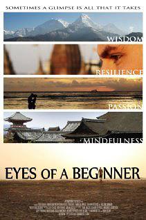 Eyes of a Beginner