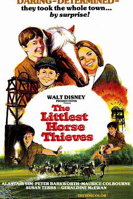 ڰ The Littlest Horse Thieves