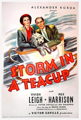 豭ķ籩 Storm in a Teacup