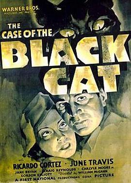 è¼ The Case of the Black Cat