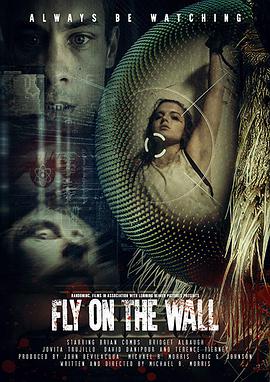 ǽϷ Fly on the Wall