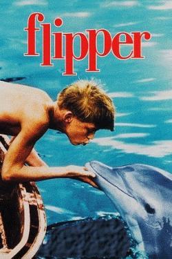 ɱ Flipper