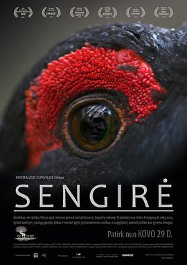 ϵɭ Sengir