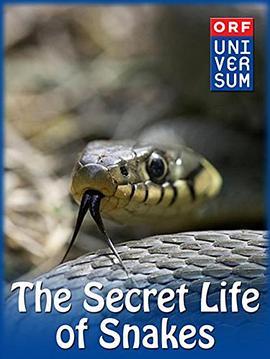 The Secret Life of Snakes