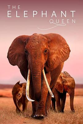 Ů The Elephant Queen