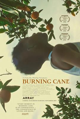 ȼյĸ Burning Cane