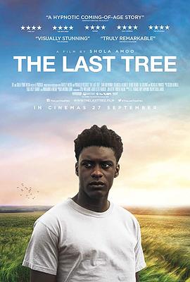 һ The Last Tree