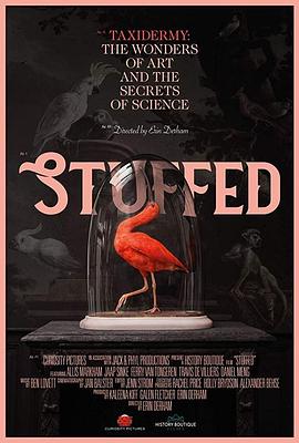  Stuffed