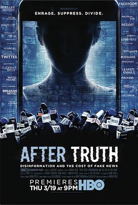 After Truth: Disinformation and the Cost of Fake News