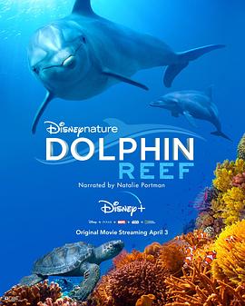 ླྀ Dolphin Reef