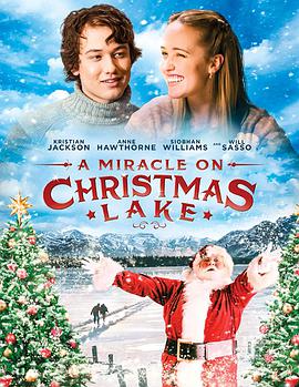 ʥ漣 A Miracle on Christmas Lake