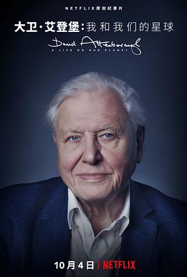 Ǳϵһó David Attenborough: A Life on Our Planet