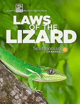 淨 Laws of the Lizard