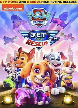 Paw Patrol: Jet To The Rescue