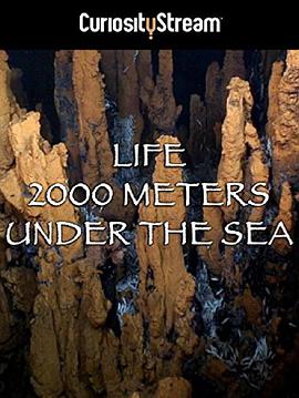 ǧ Life 2000 Meters Under The Sea