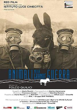 Animali nella Grande Guerra