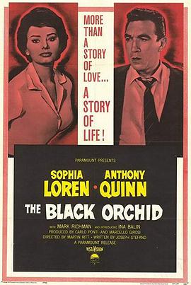  The Black Orchid