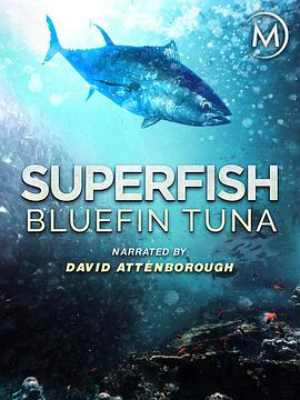 ࣺǹ Superfish Bluefin Tuna