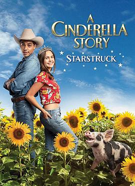 ҹĹ£֮ A Cinderella Story: Starstruck