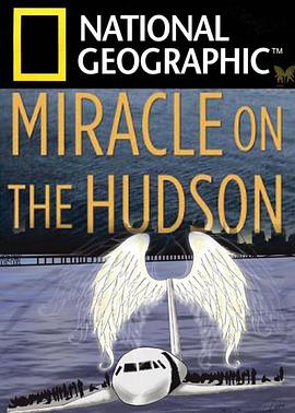 漣Ƚѷ Miracle Landing on the Hudson