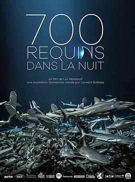 ̽ 700 requins dans la nuit