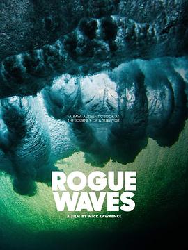 Rogue Waves