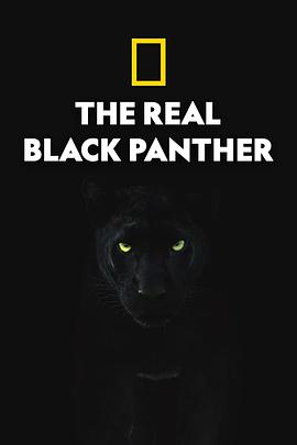 ڱ˫ The Real Black Panther