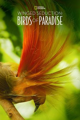 ջ֮ Winged Seduction: Birds of Paradise