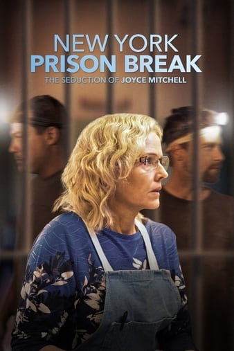 new-york-prison-break-the-seduction-of-joyce-mitchell