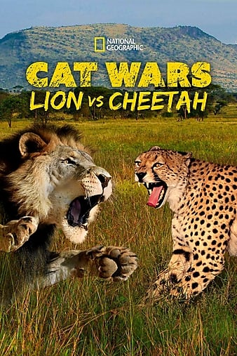 èƴսʨVSԱ Cat Wars: Lion Vs. Cheetah