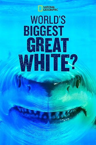 World\'s Biggest Great White Shark