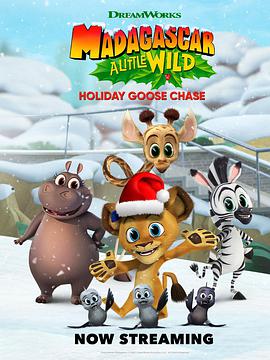 Madagascar: A Little Wild  Holiday Goose Chase