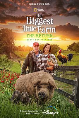 ССũع The Biggest Little Farm: The Return